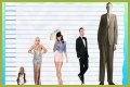 How Tall is Lady Gaga? Lady Gaga’s Real Height without Heels
